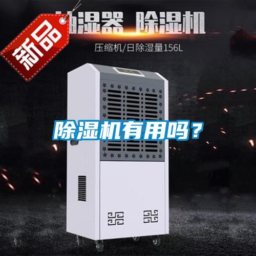 除濕機(jī)有用嗎？