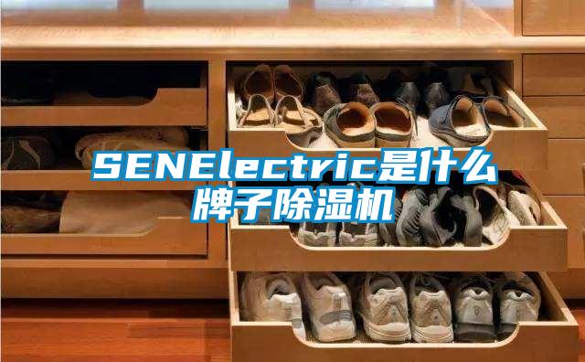 SENElectric是什么牌子除濕機(jī)