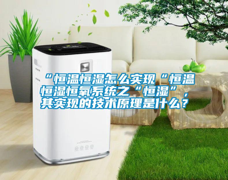 “恒溫恒濕怎么實(shí)現(xiàn)“恒溫恒濕恒氧系統(tǒng)之“恒濕”，其實(shí)現(xiàn)的技術(shù)原理是什么？