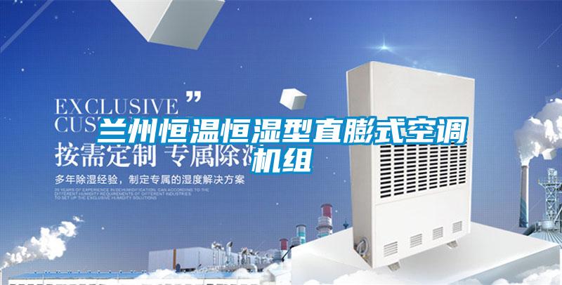 蘭州恒溫恒濕型直膨式空調(diào)機(jī)組