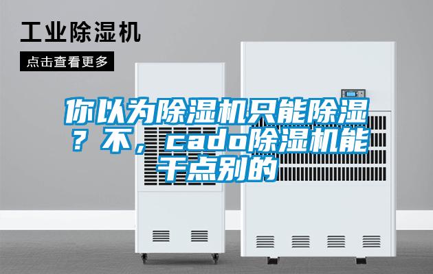 你以為除濕機(jī)只能除濕？不，cado除濕機(jī)能干點(diǎn)別的