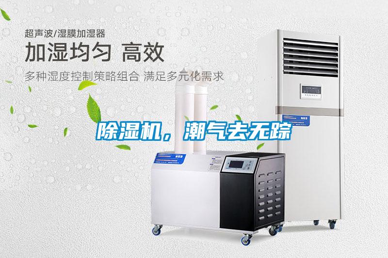 除濕機，潮氣去無蹤