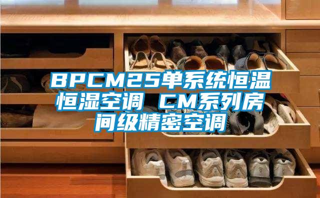 BPCM25單系統(tǒng)恒溫恒濕空調 CM系列房間級精密空調