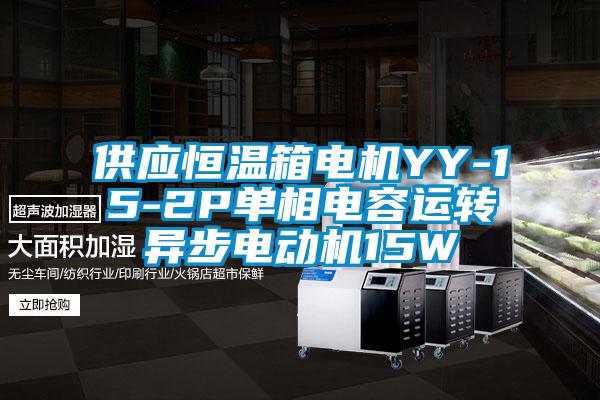 供應(yīng)恒溫箱電機(jī)YY-15-2P單相電容運(yùn)轉(zhuǎn)異步電動機(jī)15W