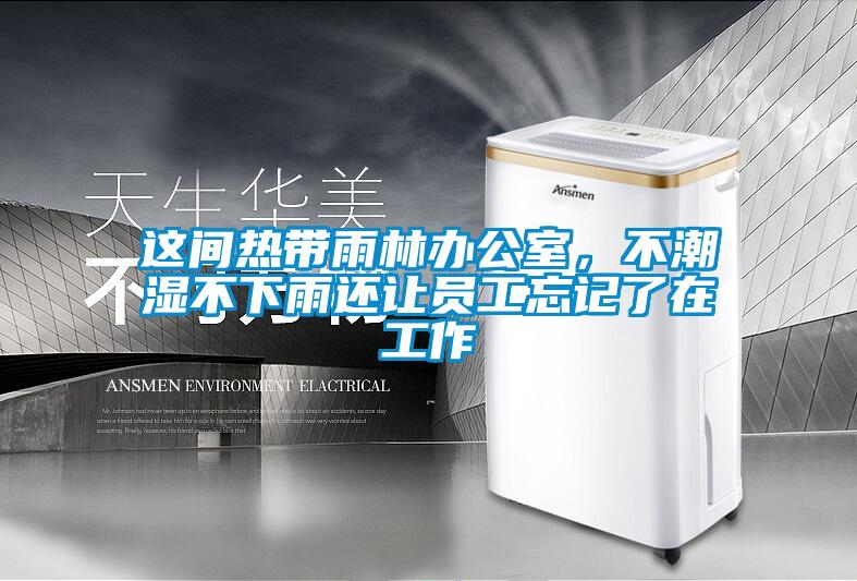 這間熱帶雨林辦公室，不潮濕不下雨還讓員工忘記了在工作