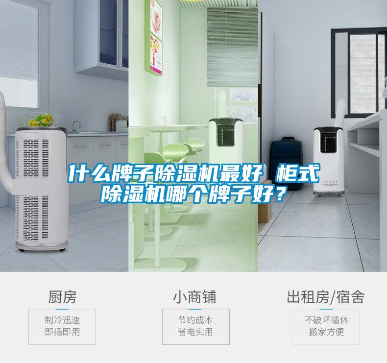 什么牌子除濕機(jī)最好 柜式除濕機(jī)哪個(gè)牌子好？