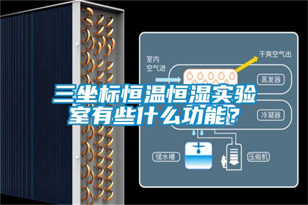 三坐標(biāo)恒溫恒濕實(shí)驗(yàn)室有些什么功能？