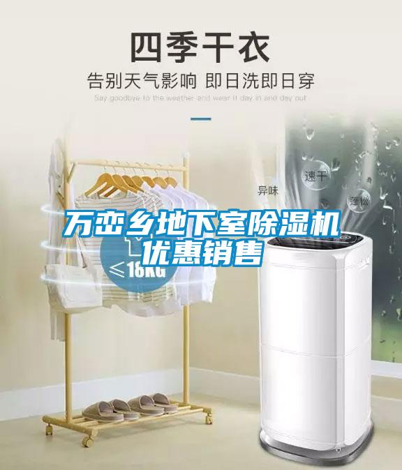 萬(wàn)巒鄉(xiāng)地下室除濕機(jī)優(yōu)惠銷售