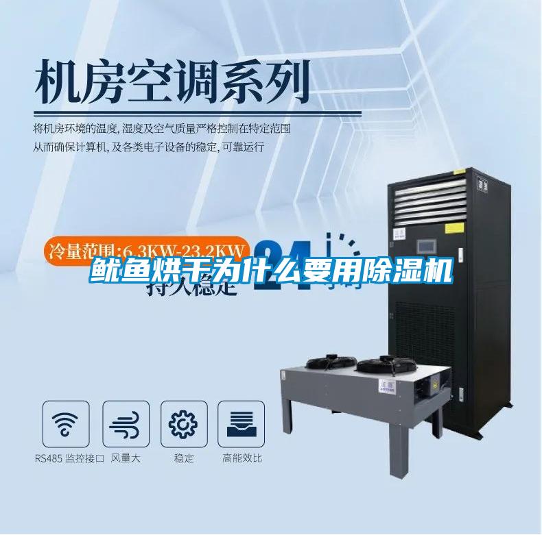 魷魚烘干為什么要用除濕機(jī)