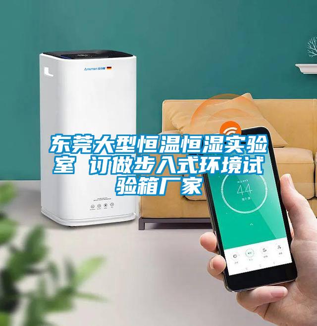 東莞大型恒溫恒濕實驗室 訂做步入式環(huán)境試驗箱廠家
