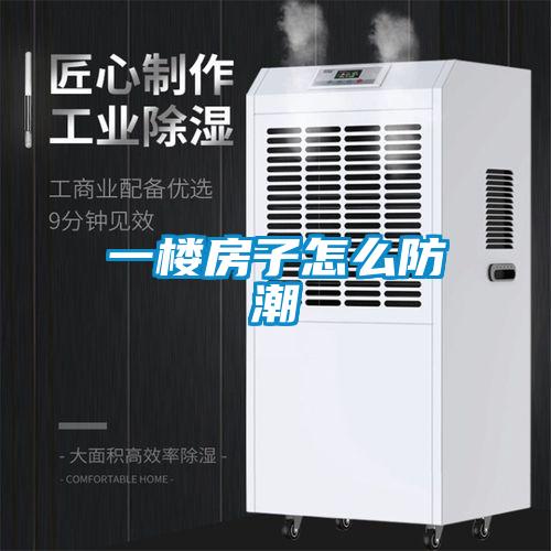 一樓房子怎么防潮