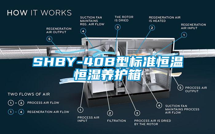 SHBY-40B型標準恒溫恒濕養(yǎng)護箱
