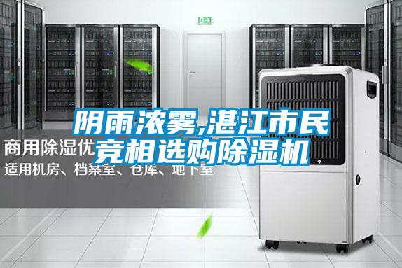 陰雨濃霧,湛江市民競相選購除濕機(jī)