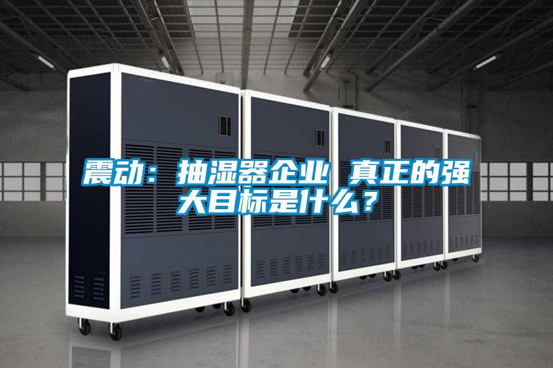 震動(dòng)：抽濕器企業(yè) 真正的強(qiáng)大目標(biāo)是什么？