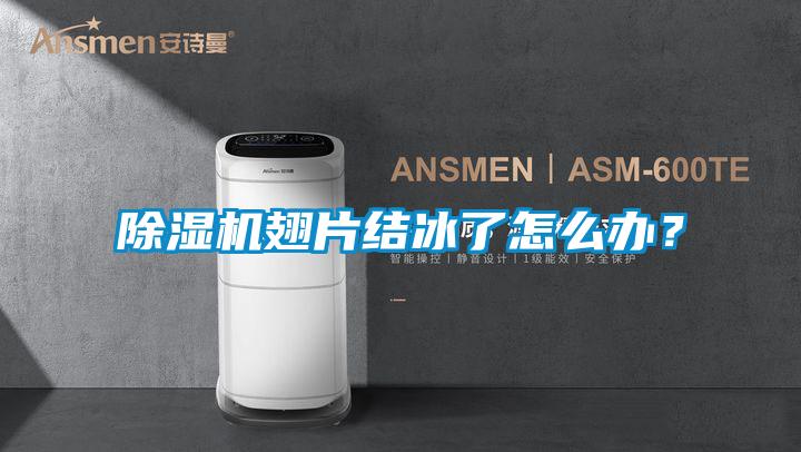 除濕機(jī)翅片結(jié)冰了怎么辦？