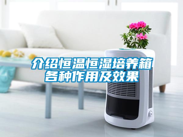 介紹恒溫恒濕培養(yǎng)箱各種作用及效果