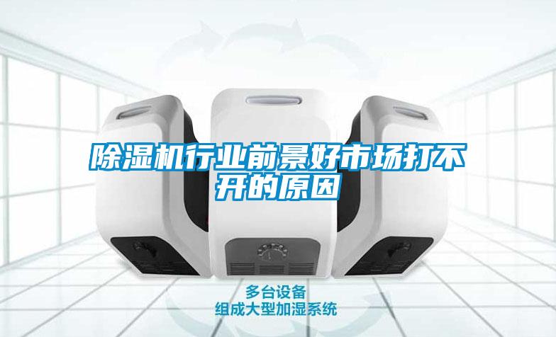 除濕機(jī)行業(yè)前景好市場(chǎng)打不開(kāi)的原因