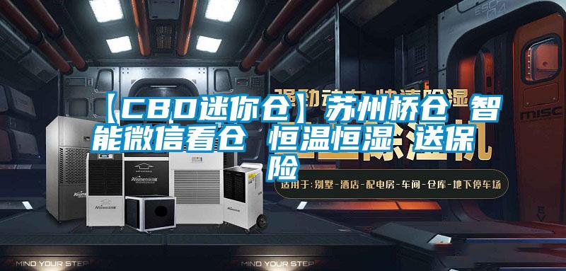 【CBD迷你倉】蘇州橋倉 智能微信看倉 恒溫恒濕 送保險(xiǎn)