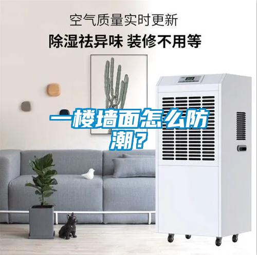 一樓墻面怎么防潮？