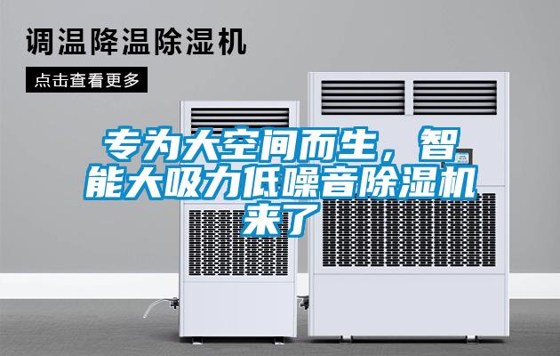 專(zhuān)為大空間而生，智能大吸力低噪音除濕機(jī)來(lái)了