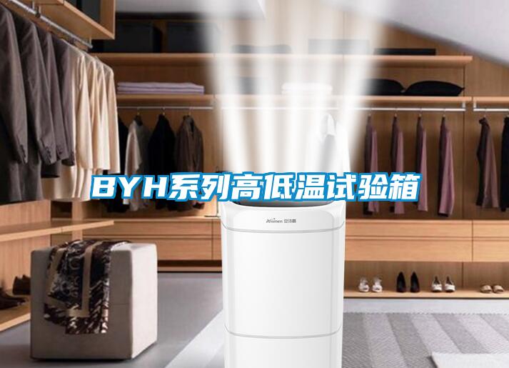 BYH系列高低溫試驗(yàn)箱
