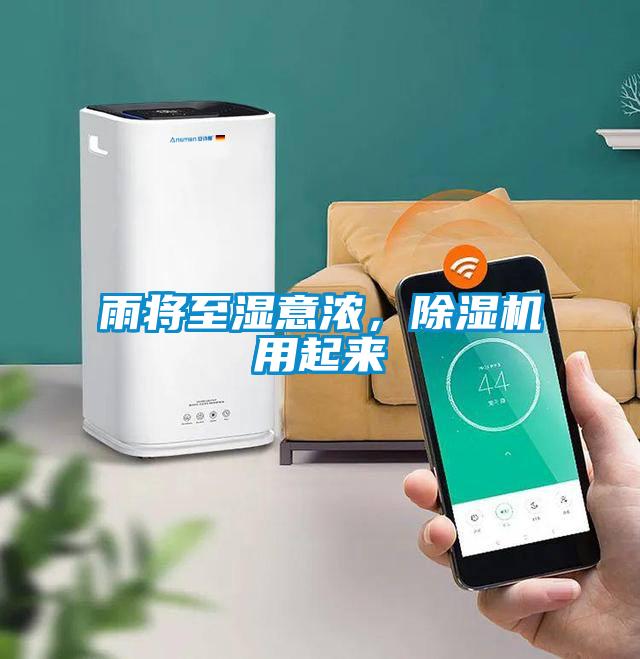 雨將至濕意濃，除濕機用起來