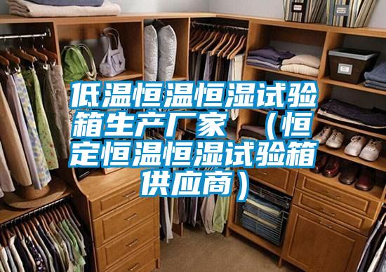 低溫恒溫恒濕試驗(yàn)箱生產(chǎn)廠家 （恒定恒溫恒濕試驗(yàn)箱供應(yīng)商）