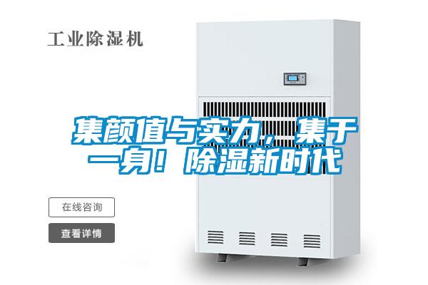 集顏值與實(shí)力，集于一身！除濕新時(shí)代