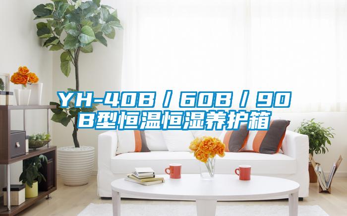 YH-40B／60B／90B型恒溫恒濕養(yǎng)護箱