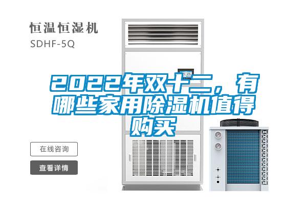 2022年雙十二，有哪些家用除濕機值得購買