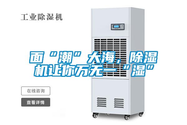 面“潮”大海，除濕機(jī)讓你萬無一“濕”