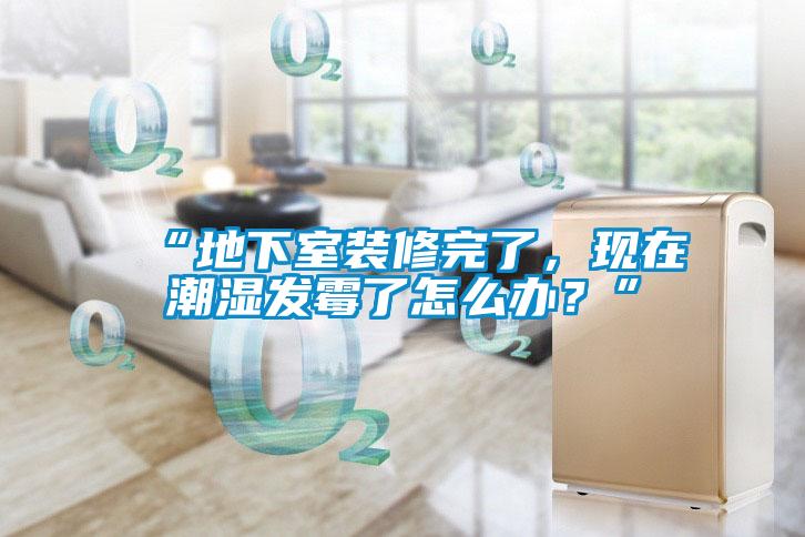 “地下室裝修完了，現(xiàn)在潮濕發(fā)霉了怎么辦？”