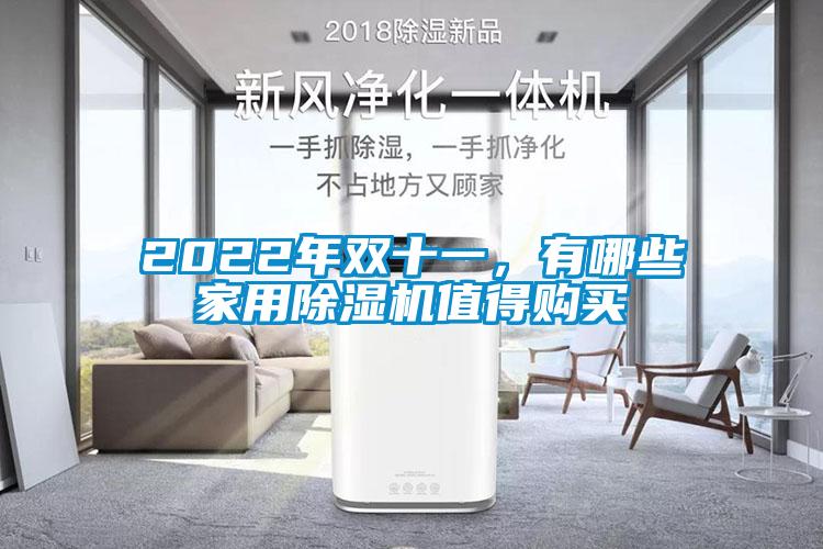 2022年雙十一，有哪些家用除濕機(jī)值得購買