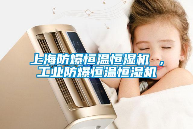 上海防爆恒溫恒濕機 ，工業(yè)防爆恒溫恒濕機
