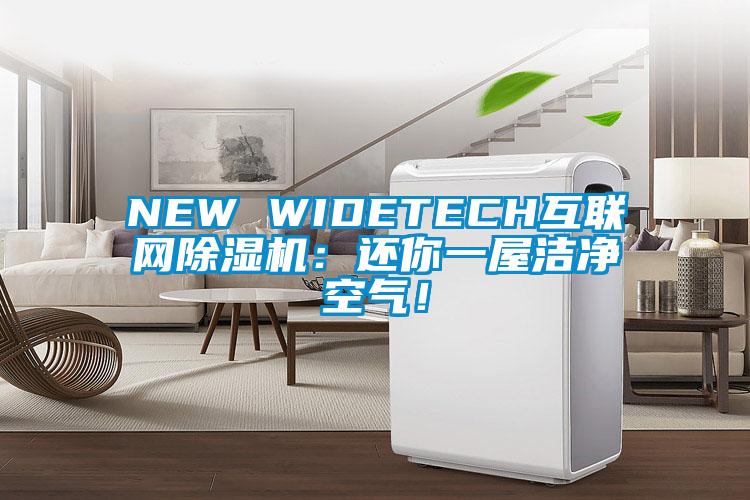 NEW WIDETECH互聯(lián)網(wǎng)除濕機(jī)：還你一屋潔凈空氣！