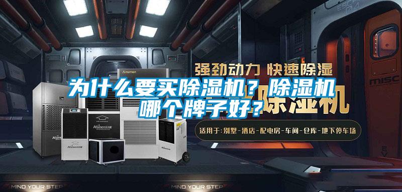 為什么要買除濕機(jī)？除濕機(jī)哪個(gè)牌子好？