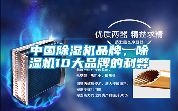 中國除濕機品牌，除濕機10大品牌的利弊