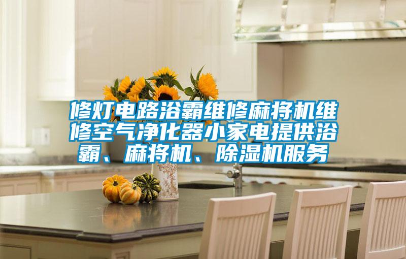 修燈電路浴霸維修麻將機(jī)維修空氣凈化器小家電提供浴霸、麻將機(jī)、除濕機(jī)服務(wù)