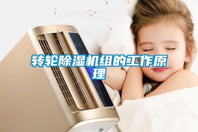 轉輪除濕機組的工作原理
