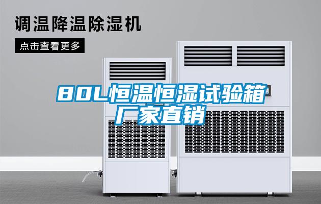 80L恒溫恒濕試驗(yàn)箱廠家直銷