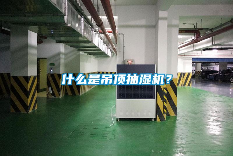 什么是吊頂抽濕機？