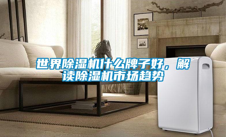 世界除濕機什么牌子好，解讀除濕機市場趨勢