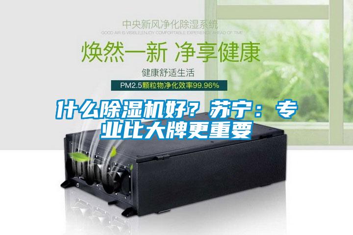什么除濕機(jī)好？蘇寧：專業(yè)比大牌更重要