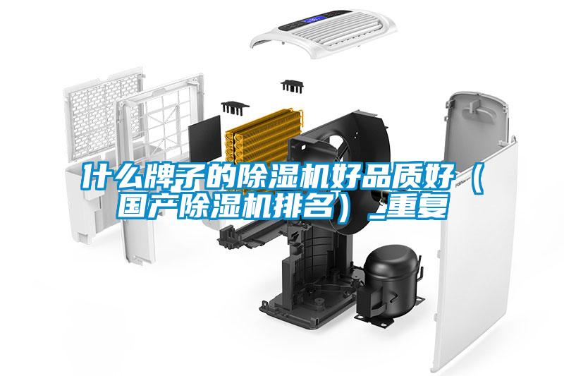 什么牌子的除濕機好品質(zhì)好（國產(chǎn)除濕機排名）_重復