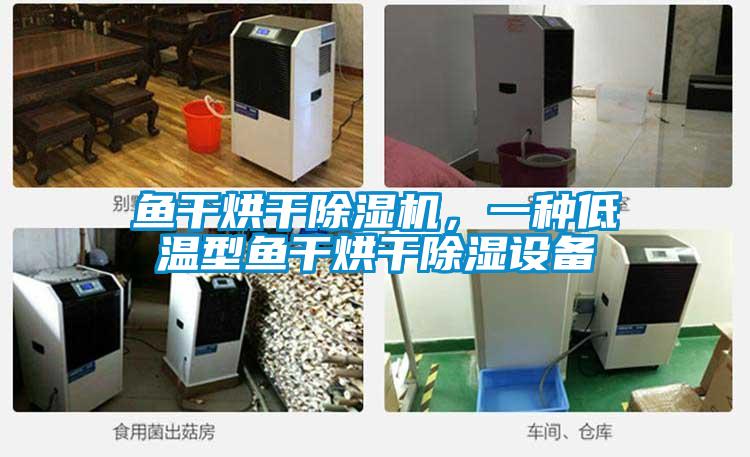 魚干烘干除濕機(jī)，一種低溫型魚干烘干除濕設(shè)備