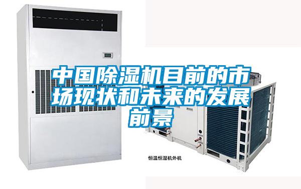 中國(guó)除濕機(jī)目前的市場(chǎng)現(xiàn)狀和未來的發(fā)展前景