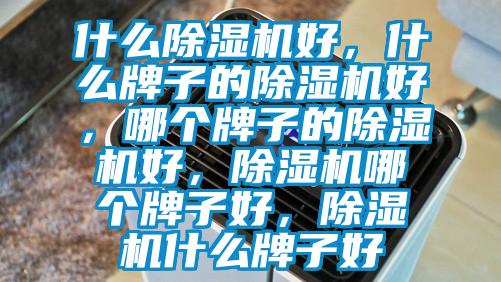 什么除濕機(jī)好，什么牌子的除濕機(jī)好，哪個牌子的除濕機(jī)好，除濕機(jī)哪個牌子好，除濕機(jī)什么牌子好