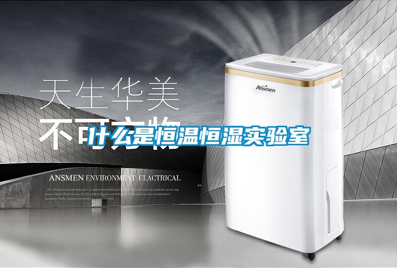 什么是恒溫恒濕實(shí)驗(yàn)室