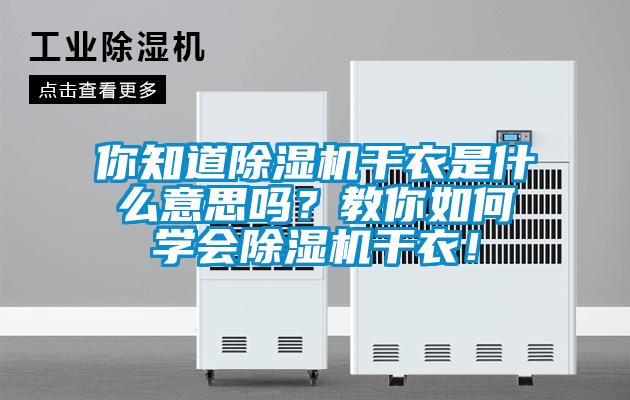 你知道除濕機干衣是什么意思嗎？教你如何學(xué)會除濕機干衣！
