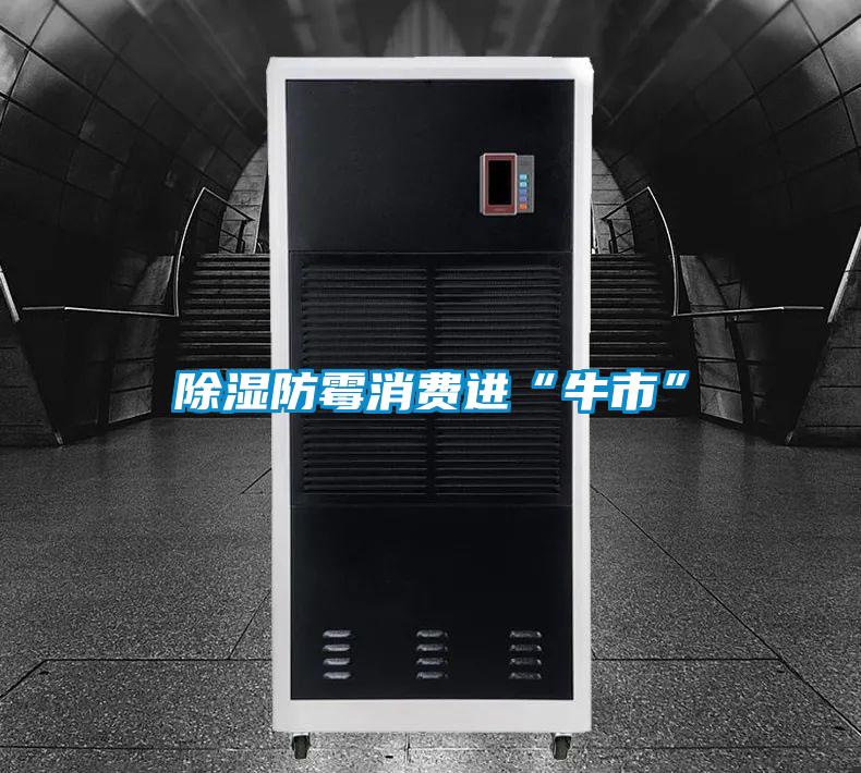 除濕防霉消費進(jìn)“牛市”